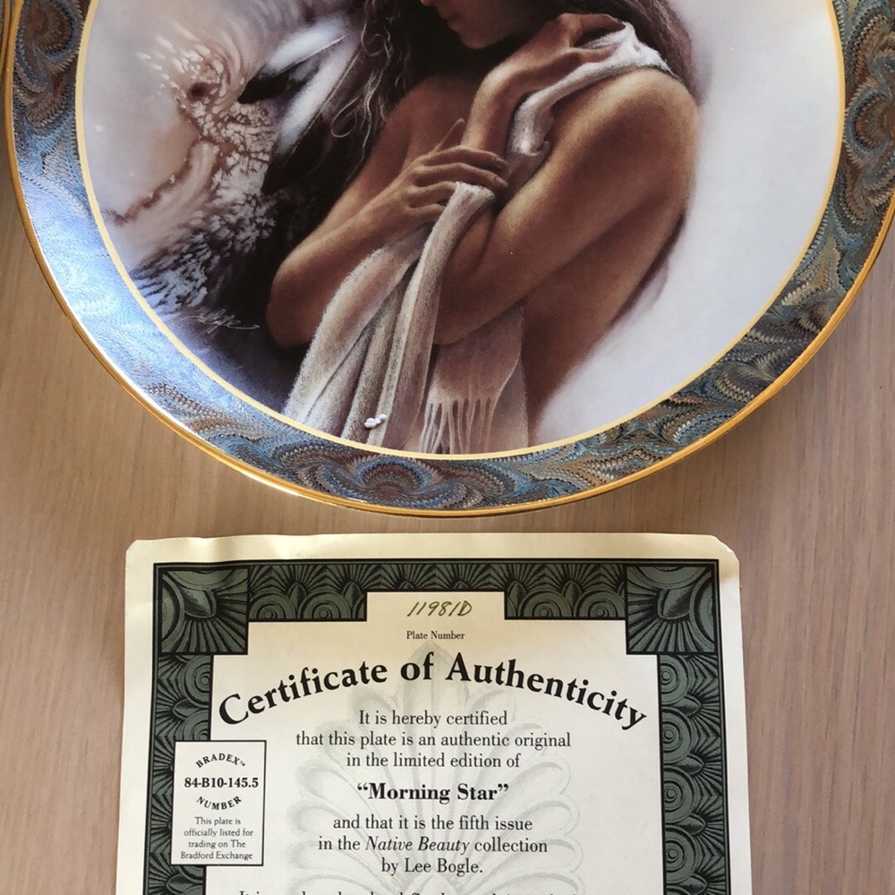 Collector plates - Picture 3 of 8